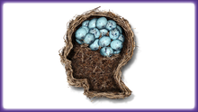 Load image into Gallery viewer, Brainy Thinkers Card-Sort Deck - SOLUTIONSpeopleSTORE