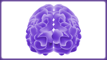 Load image into Gallery viewer, Brainy Thinkers Card-Sort Deck - SOLUTIONSpeopleSTORE