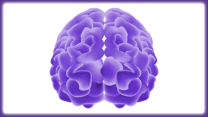 Brainy Thinkers Card-Sort Deck - SOLUTIONSpeopleSTORE