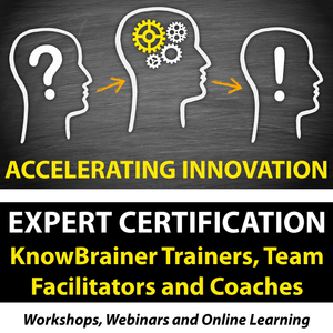 Expert Certification Workshop for KnowBrainer Trainers, Innovation Team Facilitators and Coaches