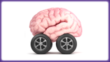 Load image into Gallery viewer, Brainy Thinkers Card-Sort Deck - SOLUTIONSpeopleSTORE