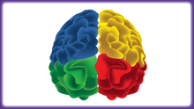 Load image into Gallery viewer, Brainy Thinkers Card-Sort Deck - SOLUTIONSpeopleSTORE